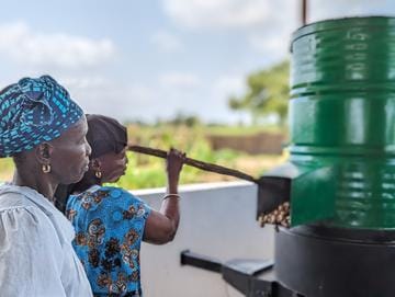 Comment booster la transformation de l'anacarde au Sénégal ?